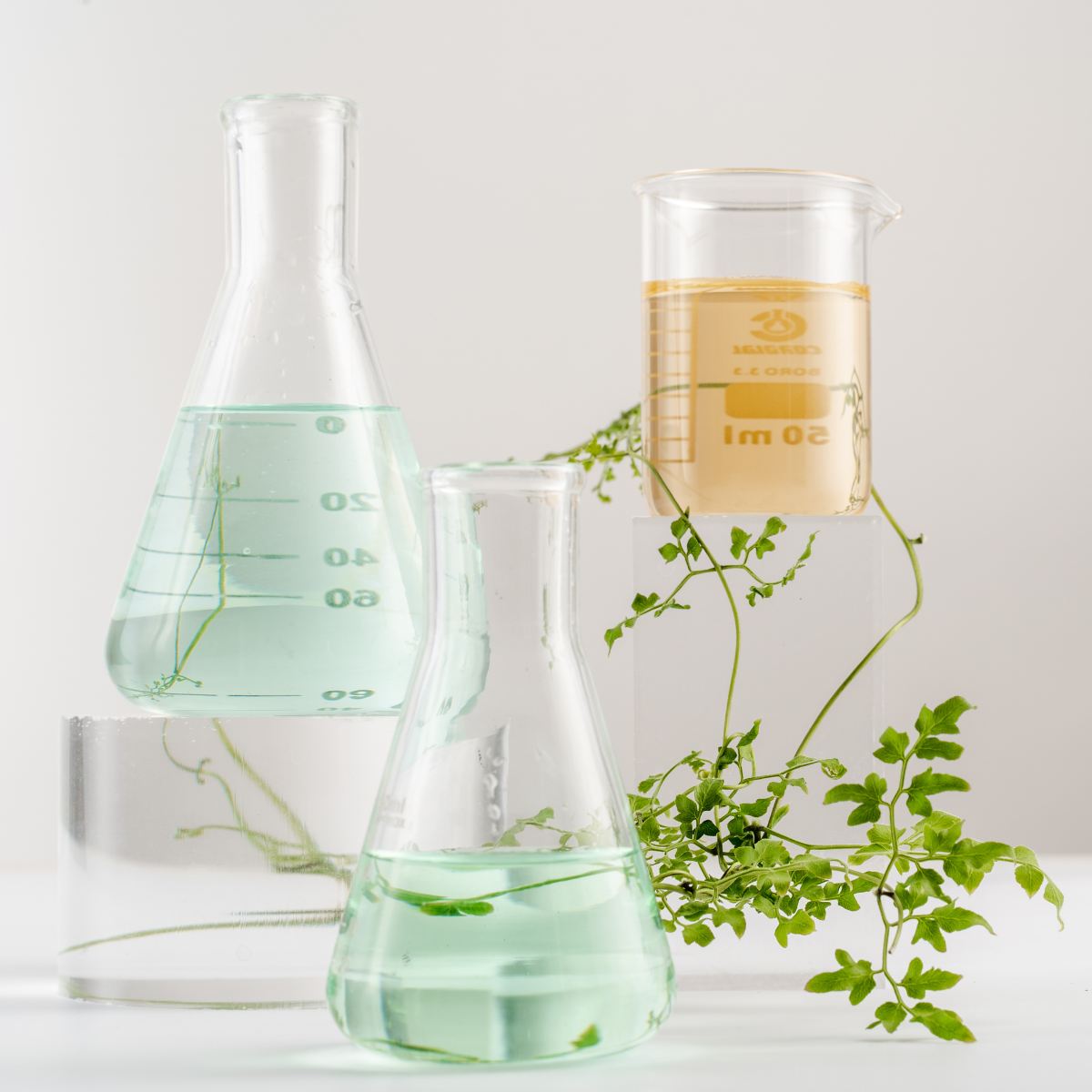 Laboratory glassware with green liquids and botanical elements, symbolizing Maison Émeraude’s scientific formulation process